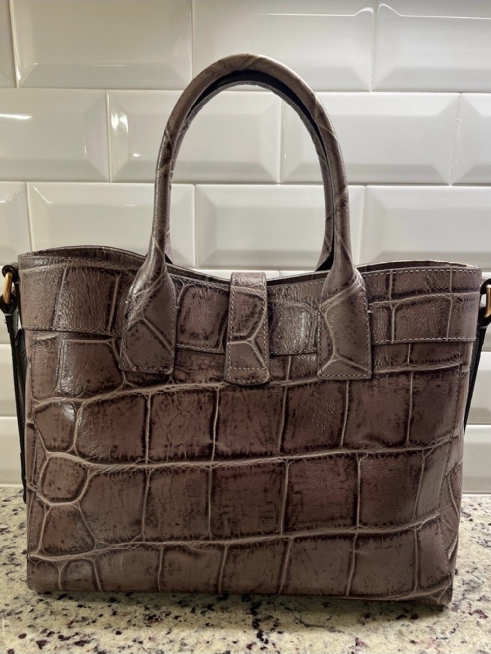 Dooney & Bourke Florentine Large Amelie Crocodile Embossed Gray Tote EUC - Picture 4 of 15